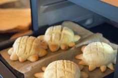 【夏休み親子パン教室】国産小麦粉で “ひまわりパン”を作ろう！